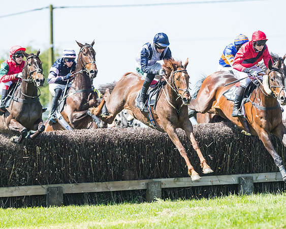 Fernie at Dingley 6th May 2018