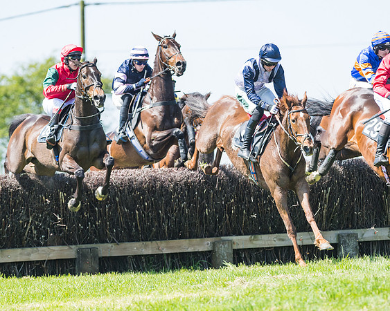 Fernie at Dingley 6th May 2018