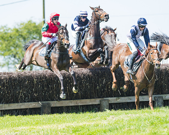 Fernie at Dingley 6th May 2018