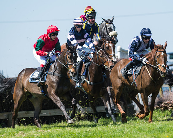 Fernie at Dingley 6th May 2018