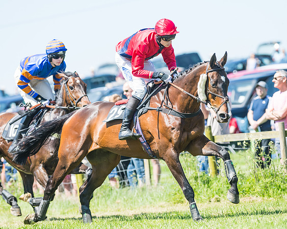 Fernie at Dingley 6th May 2018