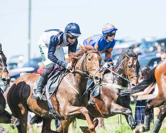 Fernie at Dingley 6th May 2018