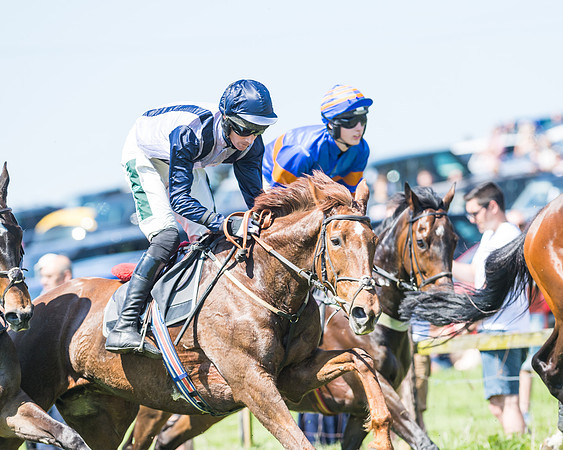 Fernie at Dingley 6th May 2018
