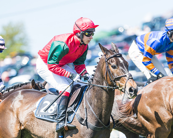 Fernie at Dingley 6th May 2018