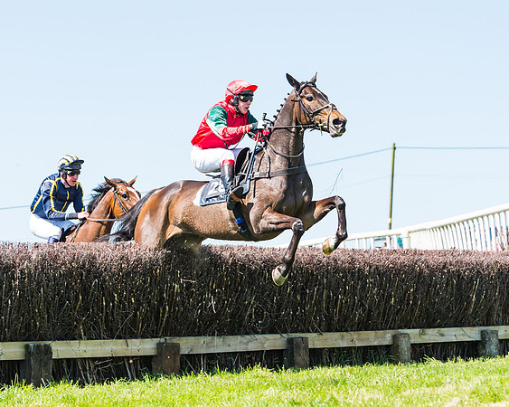 Fernie at Dingley 6th May 2018