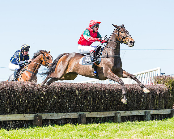 Fernie at Dingley 6th May 2018