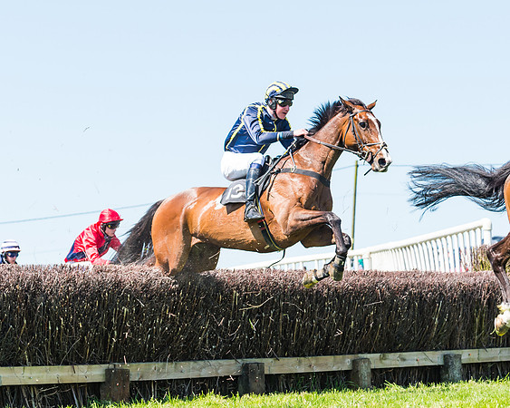 Fernie at Dingley 6th May 2018