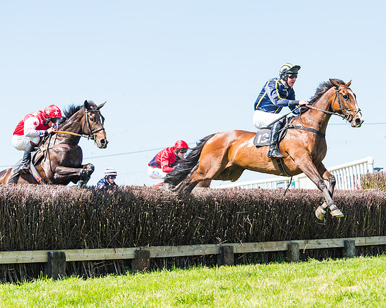 Fernie at Dingley 6th May 2018