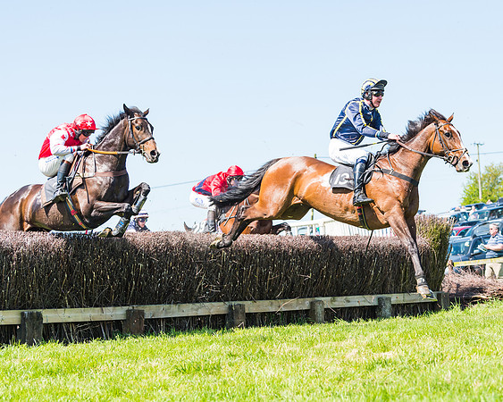 Fernie at Dingley 6th May 2018