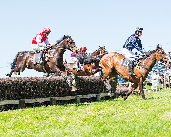 Fernie at Dingley 6th May 2018