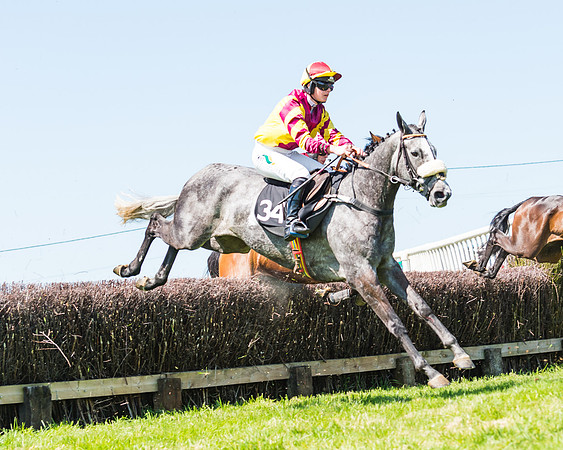 Fernie at Dingley 6th May 2018