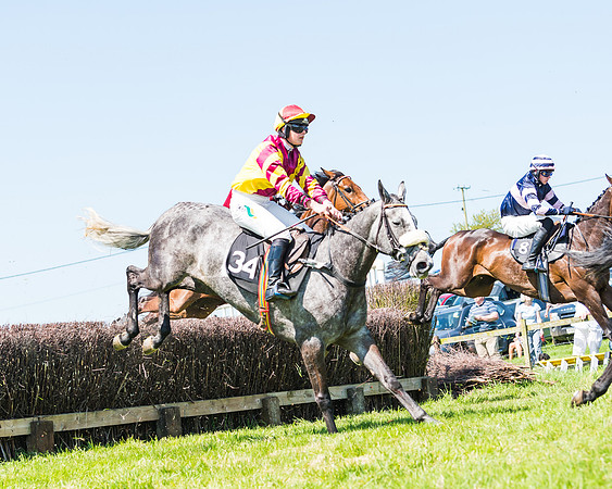 Fernie at Dingley 6th May 2018