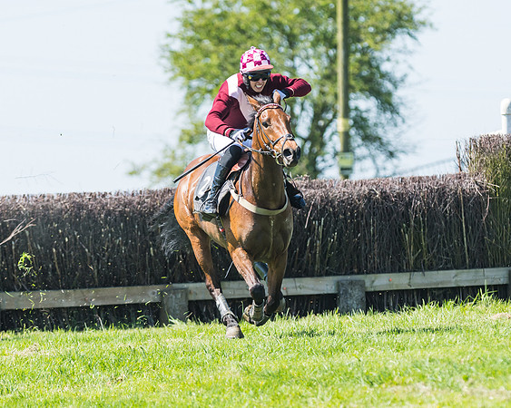 Fernie at Dingley 6th May 2018