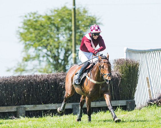 Fernie at Dingley 6th May 2018