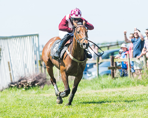 Fernie at Dingley 6th May 2018
