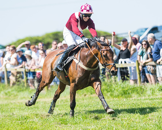 Fernie at Dingley 6th May 2018