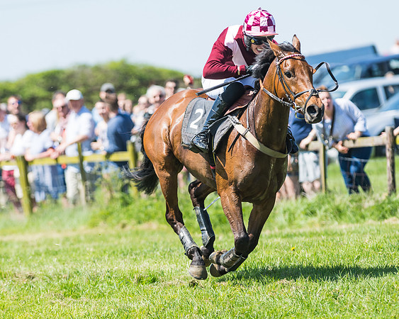 Fernie at Dingley 6th May 2018