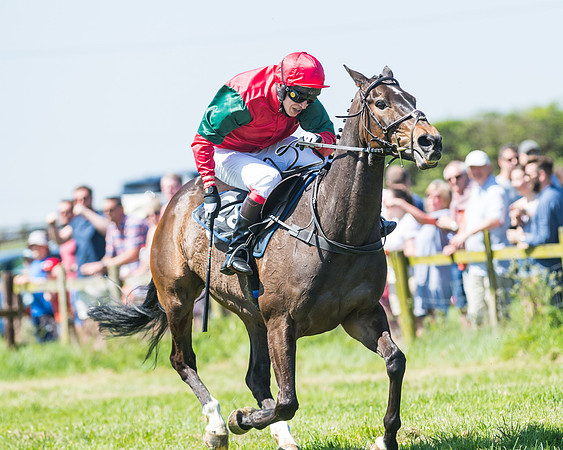 Fernie at Dingley 6th May 2018