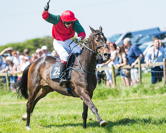 Fernie at Dingley 6th May 2018