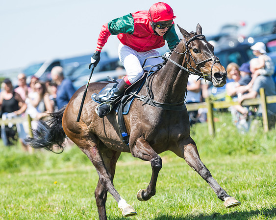 Fernie at Dingley 6th May 2018