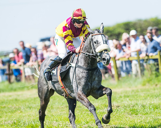 Fernie at Dingley 6th May 2018