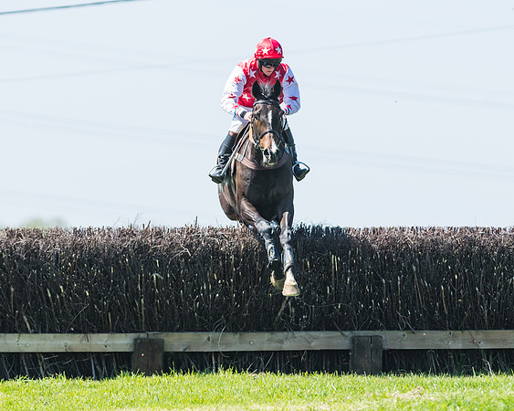 Fernie at Dingley 6th May 2018