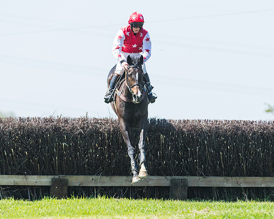 Fernie at Dingley 6th May 2018