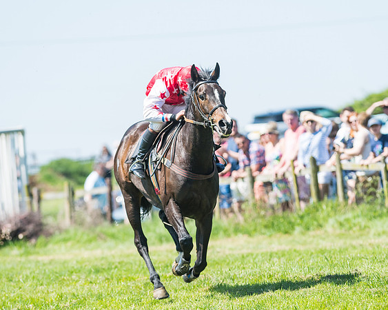 Fernie at Dingley 6th May 2018