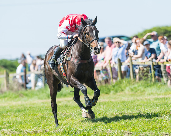 Fernie at Dingley 6th May 2018