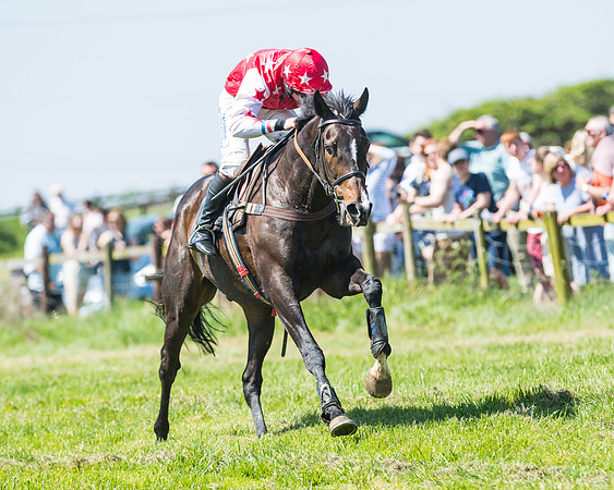 Fernie at Dingley 6th May 2018