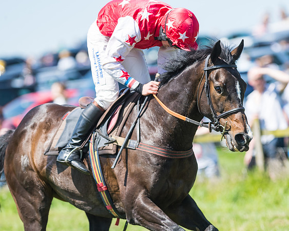 Fernie at Dingley 6th May 2018