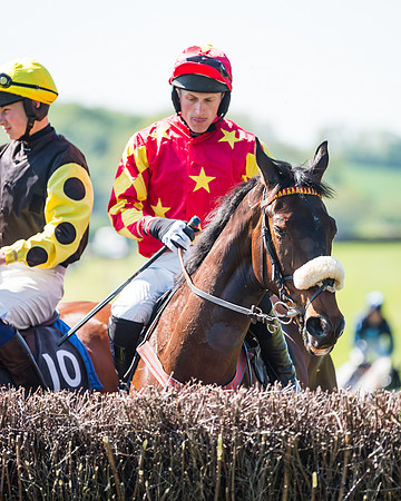 Fernie at Dingley 6th May 2018