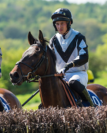 Fernie at Dingley 6th May 2018