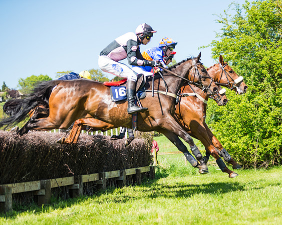 Fernie at Dingley 6th May 2018
