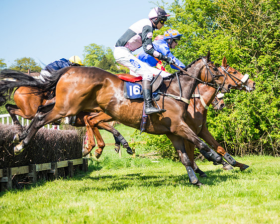 Fernie at Dingley 6th May 2018