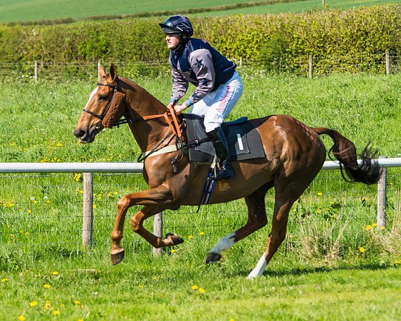 Fernie at Dingley 6th May 2018
