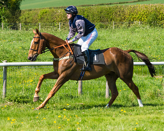 Fernie at Dingley 6th May 2018