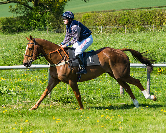 Fernie at Dingley 6th May 2018