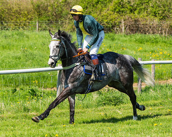 Fernie at Dingley 6th May 2018