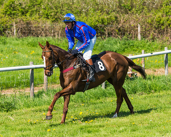 Fernie at Dingley 6th May 2018