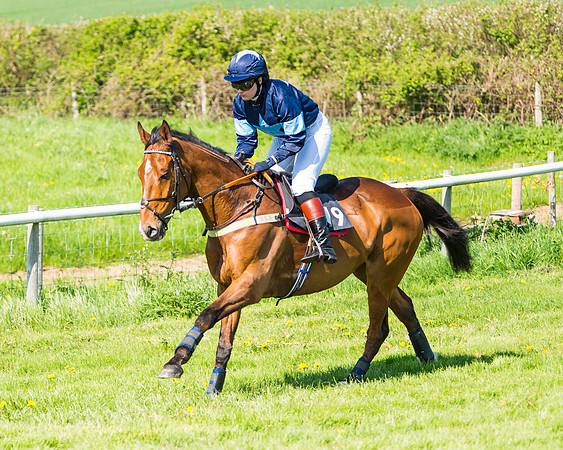 Fernie at Dingley 6th May 2018