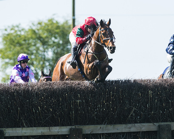 Fernie at Dingley 6th May 2018