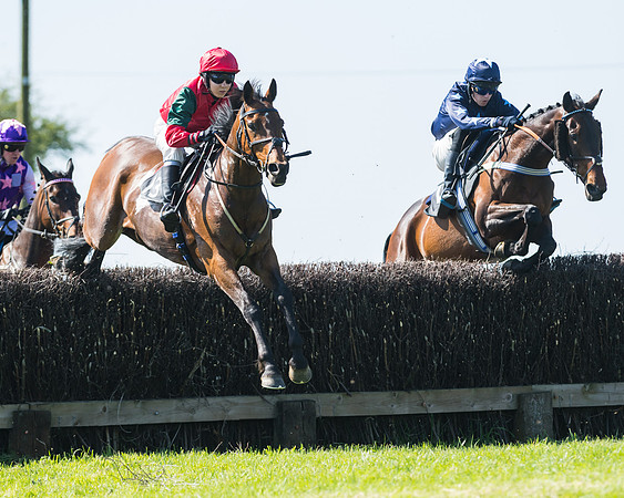 Fernie at Dingley 6th May 2018