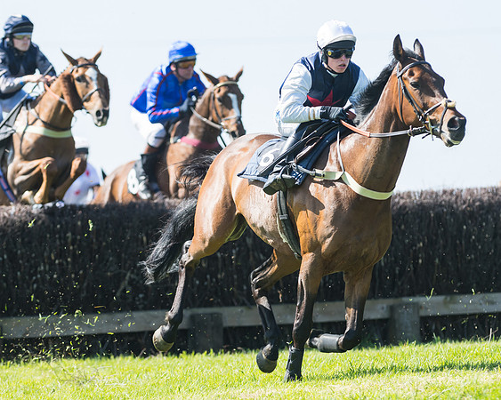 Fernie at Dingley 6th May 2018