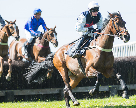 Fernie at Dingley 6th May 2018
