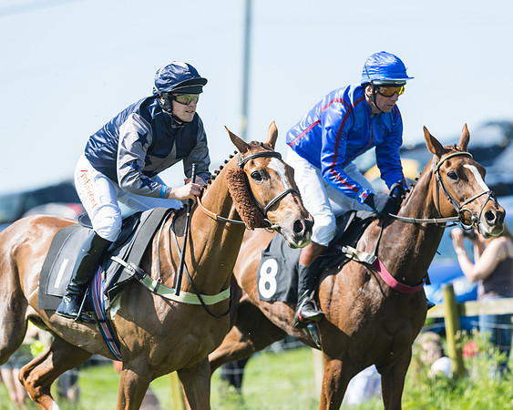 Fernie at Dingley 6th May 2018