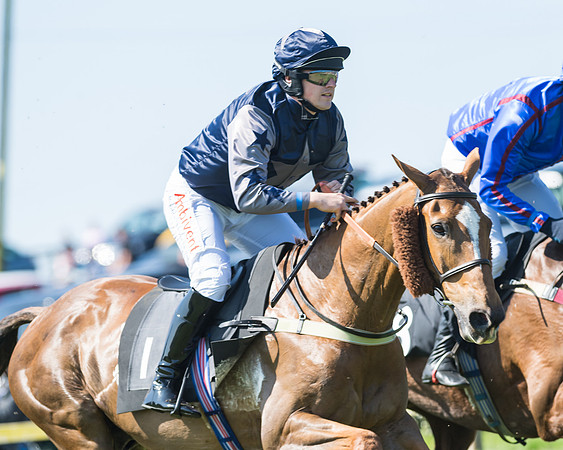 Fernie at Dingley 6th May 2018