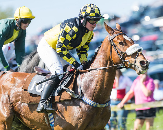 Fernie at Dingley 6th May 2018