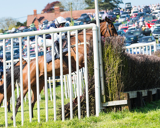 Fernie at Dingley 6th May 2018