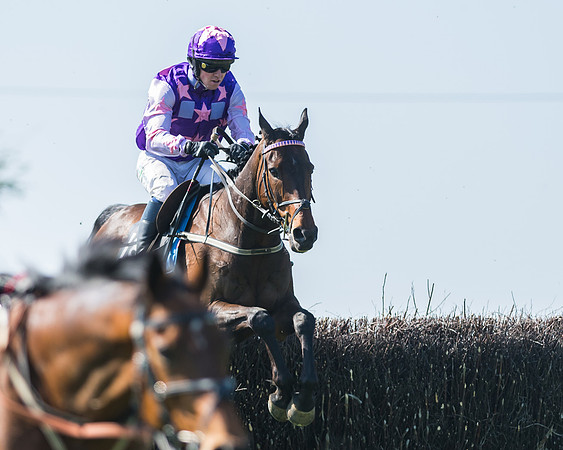 Fernie at Dingley 6th May 2018